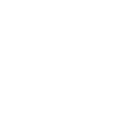 phone_icon